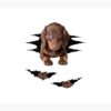 flat750x075f pad750x1000f8f8f8.u2 17 - Dachshund Gifts