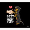 flat750x075f pad750x1000f8f8f8.u2 28 - Dachshund Gifts