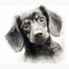 flat750x075f pad750x1000f8f8f8.u2 37 - Dachshund Gifts