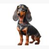 flat750x075f pad750x1000f8f8f8.u2 38 - Dachshund Gifts