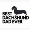 flat750x075f pad750x1000f8f8f8.u2 7 - Dachshund Gifts