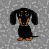 flat750x075f pad750x750f8f8f8 1 - Dachshund Gifts