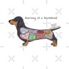 flat750x075f pad750x750f8f8f8 - Dachshund Gifts