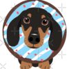 flat750x075f pad750x750f8f8f8 18 - Dachshund Gifts