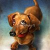 flat750x075f pad750x750f8f8f8 19 - Dachshund Gifts