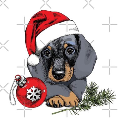 flat750x075f pad750x750f8f8f8 20 - Dachshund Gifts