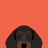 flat750x075f pad750x750f8f8f8 25 - Dachshund Gifts