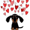 flat750x075f pad750x750f8f8f8 33 - Dachshund Gifts