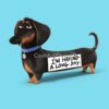 flat750x075f pad750x750f8f8f8 36 - Dachshund Gifts