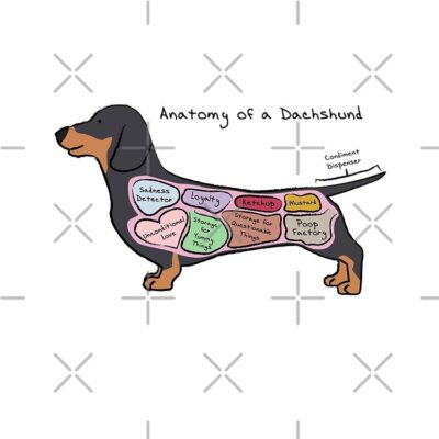 flat750x075f pad750x750f8f8f8 - Dachshund Gifts