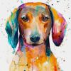 flat750x075f pad750x750f8f8f8 5 - Dachshund Gifts