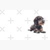 flat750x075f pad750x750f8f8f8.u4 11 - Dachshund Gifts