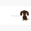 flat750x075f pad750x750f8f8f8.u4 14 - Dachshund Gifts