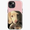 icriphone 14 toughbackax1000 pad1000x1000f8f8f8.u21 47 - Dachshund Gifts