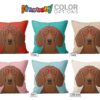 il 1000xN.1285970631 2hqo - Dachshund Gifts