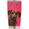 il 1000xN.4500930993 ri5u - Dachshund Gifts