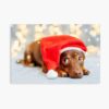 mp840x830mattef8f8f8t pad1000x1000f8f8f8 15 - Dachshund Gifts