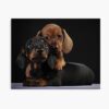 mp840x830mattef8f8f8t pad1000x1000f8f8f8 21 - Dachshund Gifts