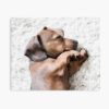 mp840x830mattef8f8f8t pad1000x1000f8f8f8 28 - Dachshund Gifts