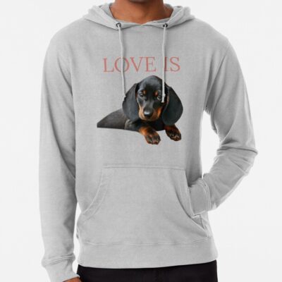 ssrcolightweight hoodiemensheather greyfrontsquare productx1000 bgf8f8f8 39 - Dachshund Gifts