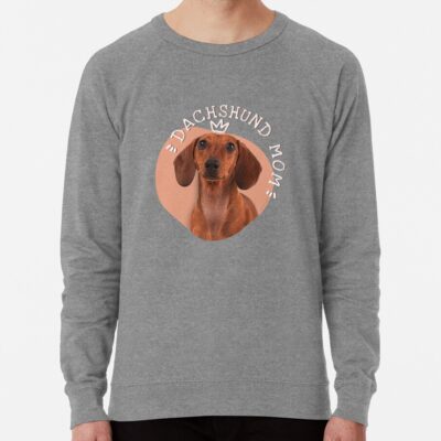 ssrcolightweight sweatshirtmensheather grey lightweight raglan sweatshirtfrontsquare productx1000 bgf8f8f8 11 - Dachshund Gifts