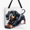 tb1040x1040large c1198800800 bgf8f8f8.u8 14 - Dachshund Gifts