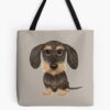 tb1040x1040large c1198800800 bgf8f8f8.u8 29 - Dachshund Gifts