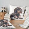 throwpillowsecondary 36x361000x1000 bgf8f8f8 1 - Dachshund Gifts