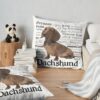 throwpillowsecondary 36x361000x1000 bgf8f8f8 20 - Dachshund Gifts