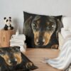 throwpillowsecondary 36x361000x1000 bgf8f8f8 35 - Dachshund Gifts