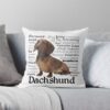 throwpillowsmall1000x bgf8f8f8 c020010001000 20 - Dachshund Gifts