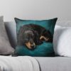 throwpillowsmall1000x bgf8f8f8 c020010001000 34 - Dachshund Gifts