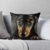 throwpillowsmall1000x bgf8f8f8 c020010001000 35 - Dachshund Gifts