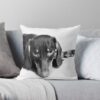 throwpillowsmall1000x bgf8f8f8 c020010001000 47 - Dachshund Gifts