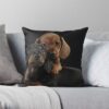 throwpillowsmall1000x bgf8f8f8 c020010001000 50 - Dachshund Gifts