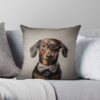 throwpillowsmall1000x bgf8f8f8 c020010001000 9 - Dachshund Gifts