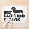 urbathmat flatlay context smallsquare750x1000.1u5 25 - Dachshund Gifts