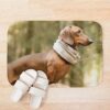 urbathmat flatlay context smallsquare750x1000.1u5 43 - Dachshund Gifts