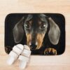 urbathmat flatlay context smallsquare750x1000.1u5 5 - Dachshund Gifts