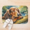 urbathmat flatlay context smallsquare750x1000.1u5 9 - Dachshund Gifts