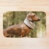 urbathmat flatlay largesquare1000x1000.1u5 43 - Dachshund Gifts