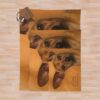 urblanket comparesquarex1000.1u2 33 - Dachshund Gifts