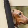 urdesk mat rolltall portrait750x1000 26 - Dachshund Gifts