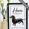 il 1000xN.4519415670 50qp - Dachshund Gifts