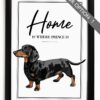 il 1000xN.4566800851 6pvf - Dachshund Gifts