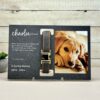 il 1000xN.5780978106 sph2 - Dachshund Gifts