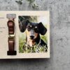 il 1000xN.5796897930 1vil - Dachshund Gifts