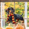 il 1000xN.6234765473 s5d0 - Dachshund Gifts